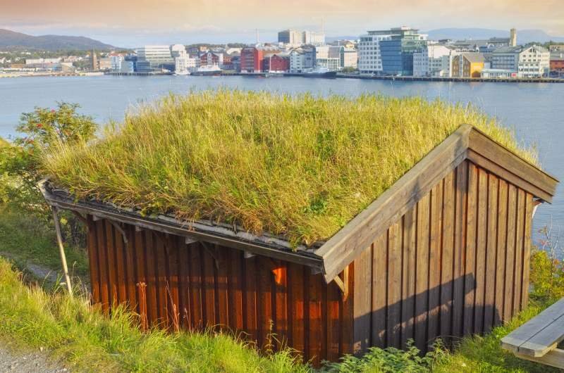 yeşil-çatı-sistemleri